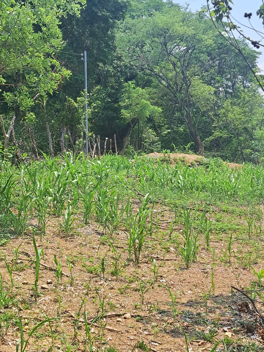 Terreno en Tejutla Chalatenango